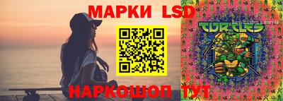 гидропоника Абакан