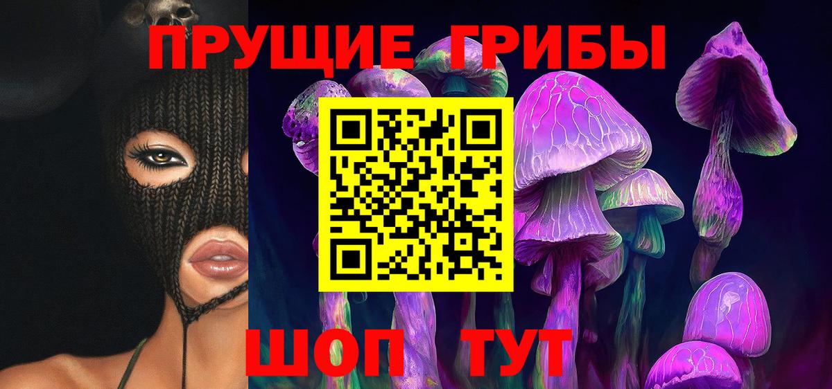 Ачхой-Мартан  Псилоцибиновые грибы мицелий  Вход с VPN 