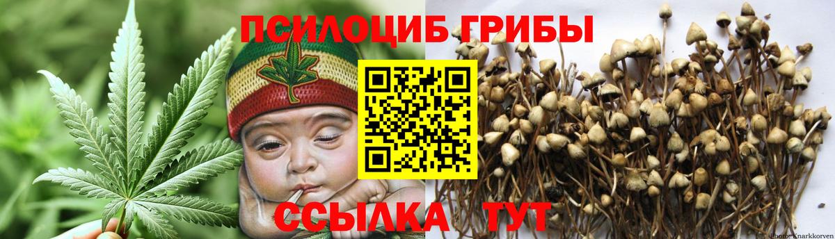 Галлюциногенные грибы мицелий Ачхой-Мартан